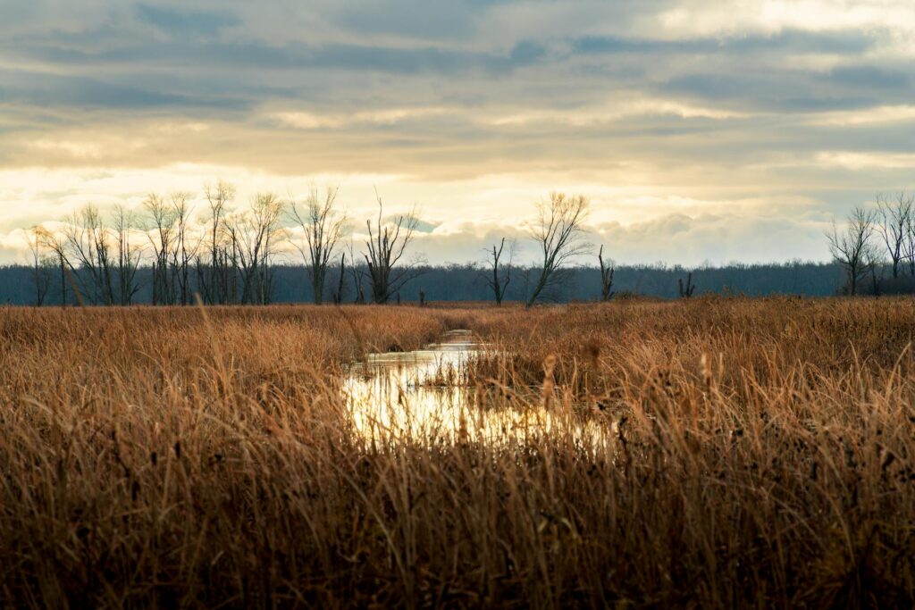 National Wildlife Refuge